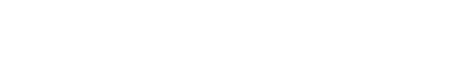 CHAVANA logo